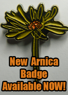 Arnica Badge Arnica Badge